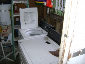 Laundry Shed Or Poison Spider Breeding House?!