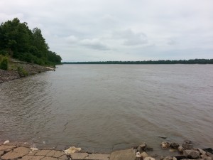 Mississippi River At State Park Just North of Memphis