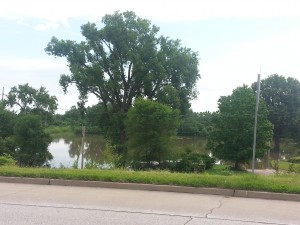 Rising Water Everywhere